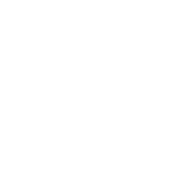 Flow